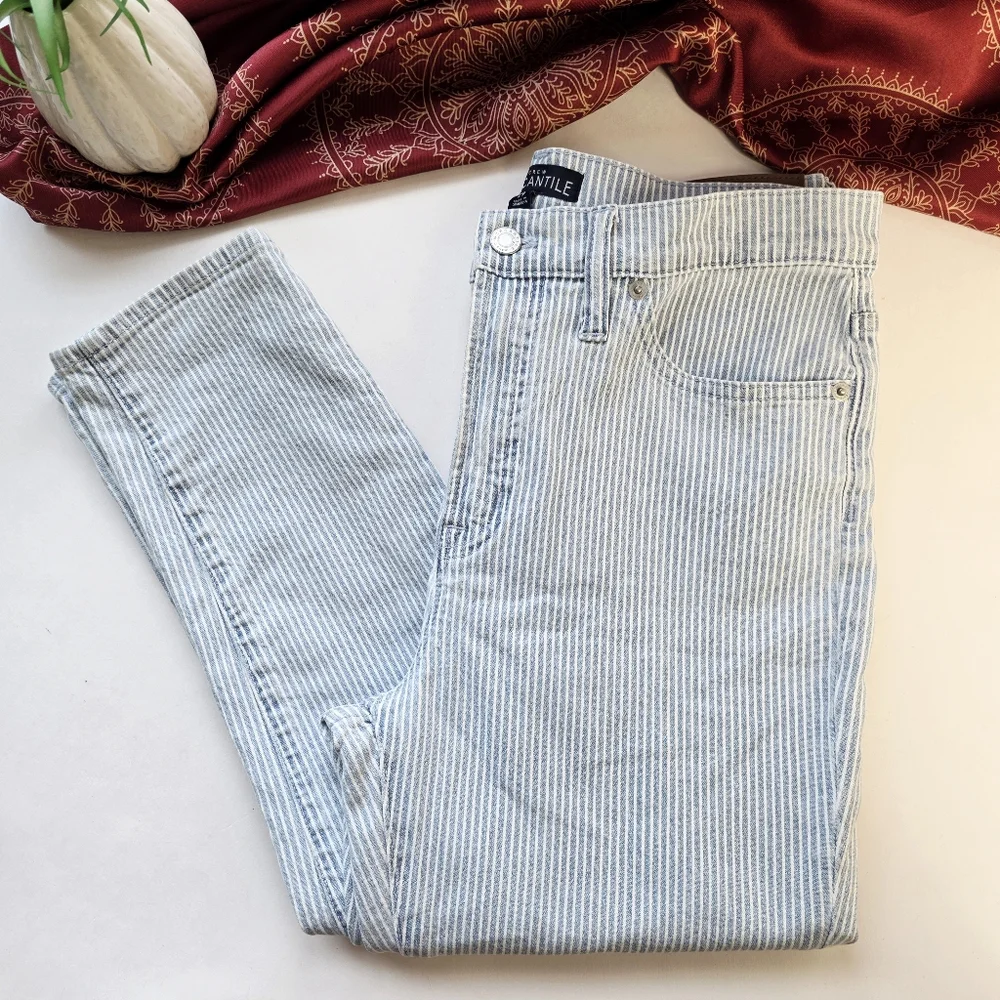 J. Crew Mercantile Striped Jeans Size 29 Blue White